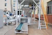 Double line type auto weighing system 